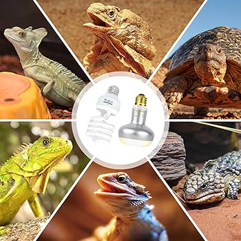 Amazon.com : REPTI ZOO Reptile Heat Lamp Bulb and UVB 10.0